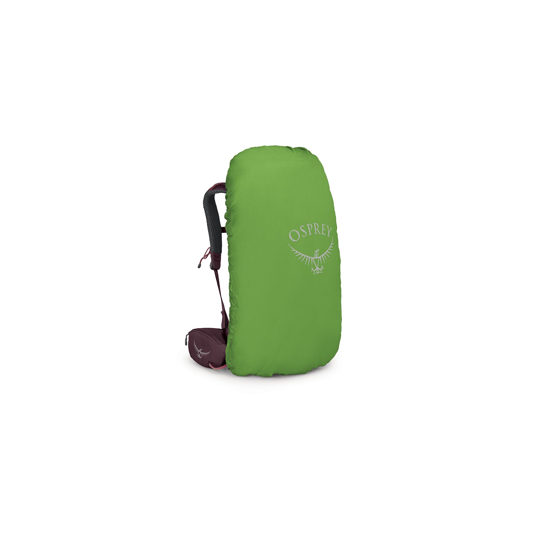 Kyte 38 Wm, elderberry purple