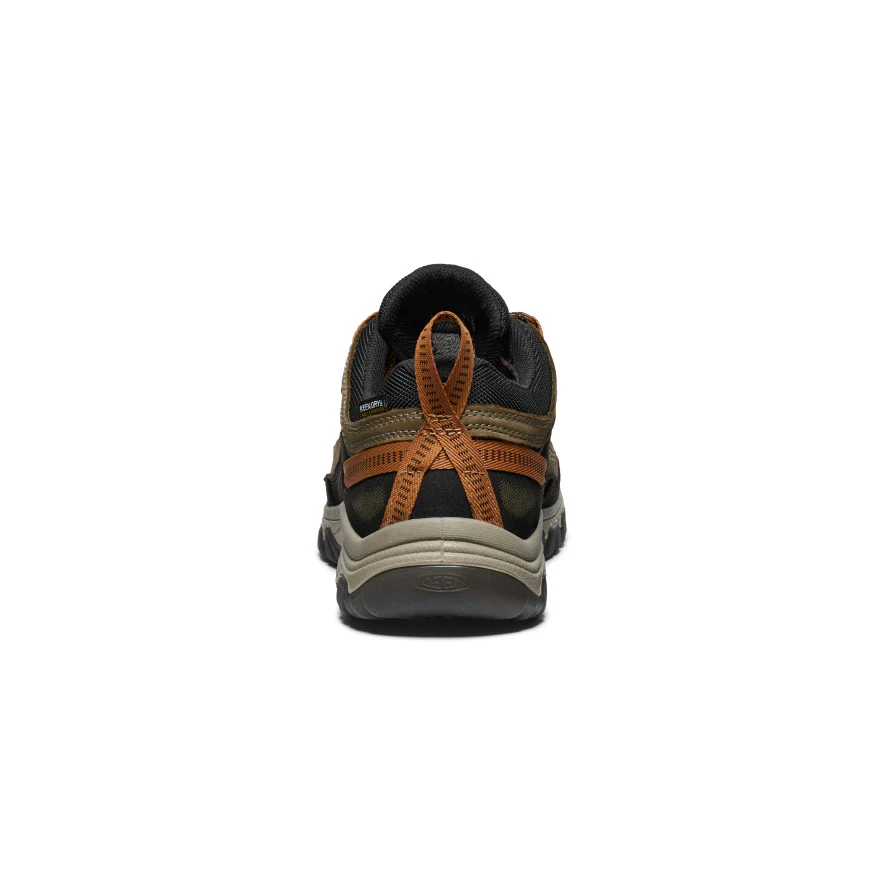 Targhee WP, sea turtle/roasted pecan