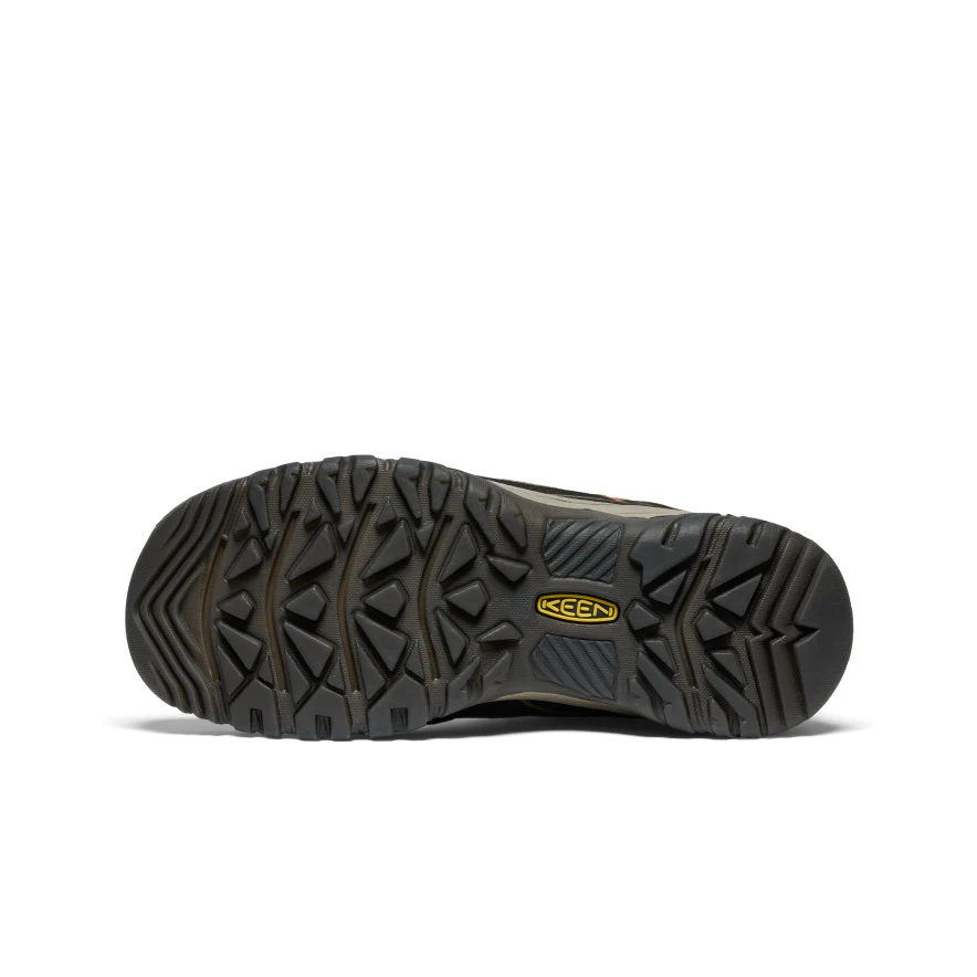 Targhee WP, sea turtle/roasted pecan