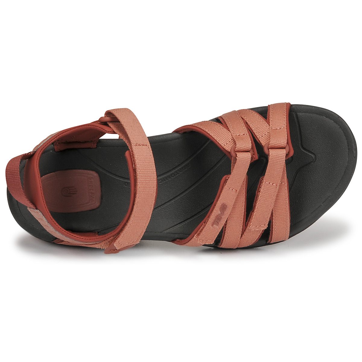 Teva Tirra Wm, aragon