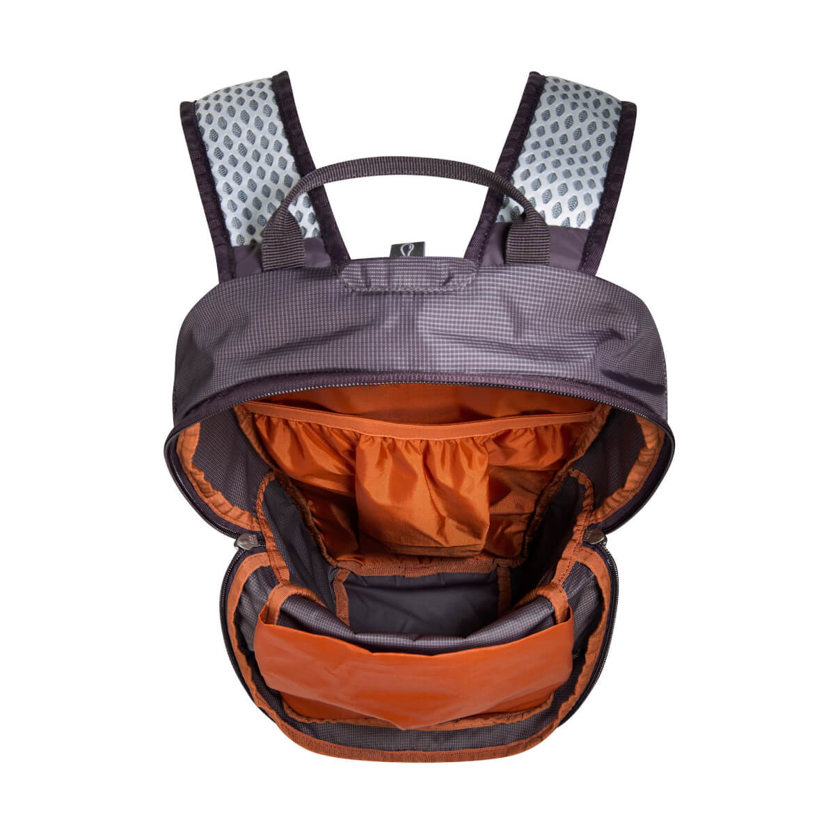 Active Pack 10, midnight plum