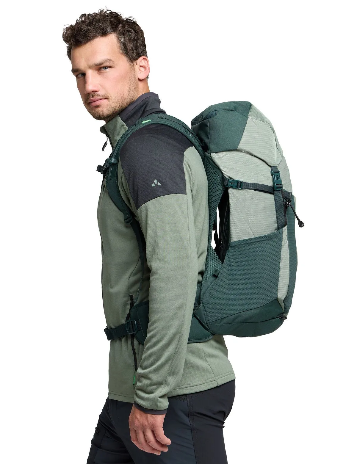 Brenta 24, agave