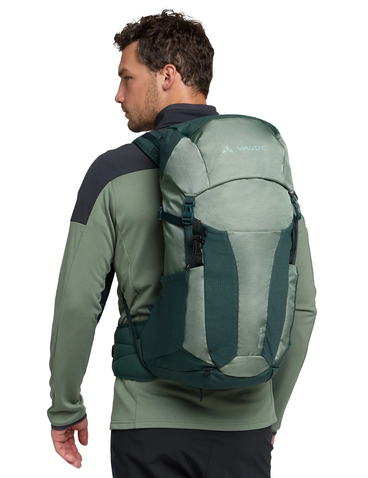 Brenta 24, agave