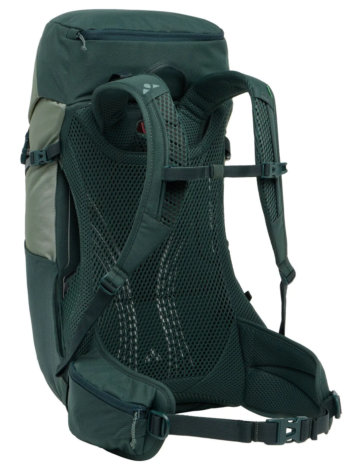 Brenta 24, agave