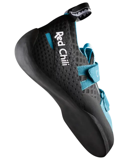 Circuit, hawaiian blue