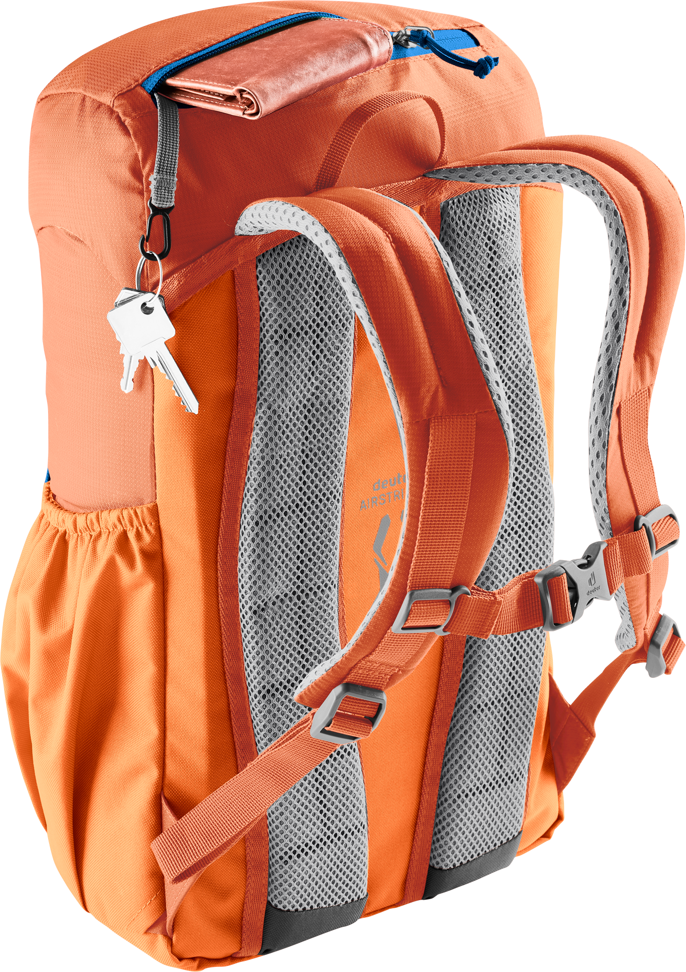 Junior, chestnut-mandarine