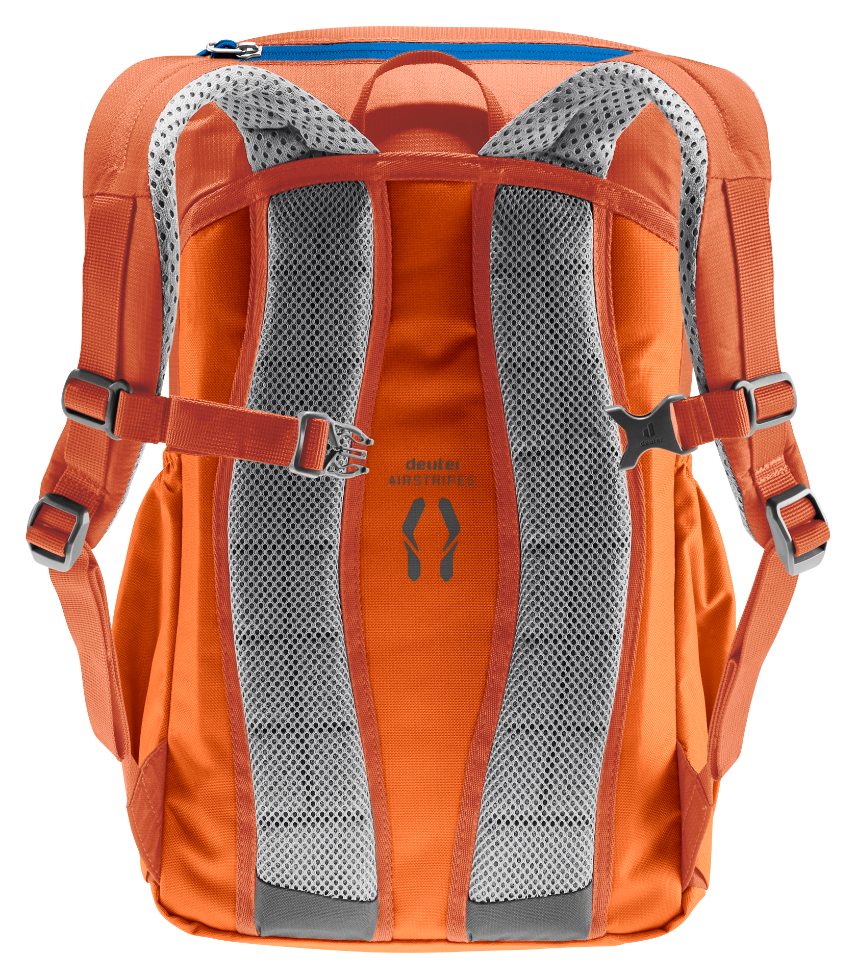 Junior, chestnut-mandarine