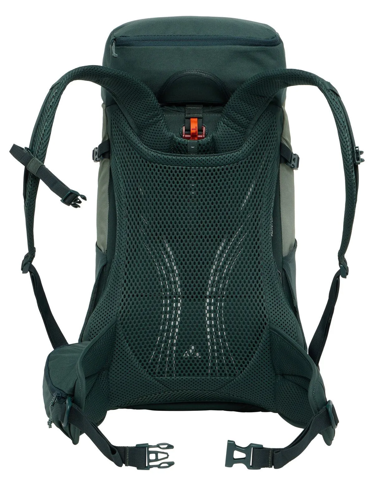 Brenta 24, agave