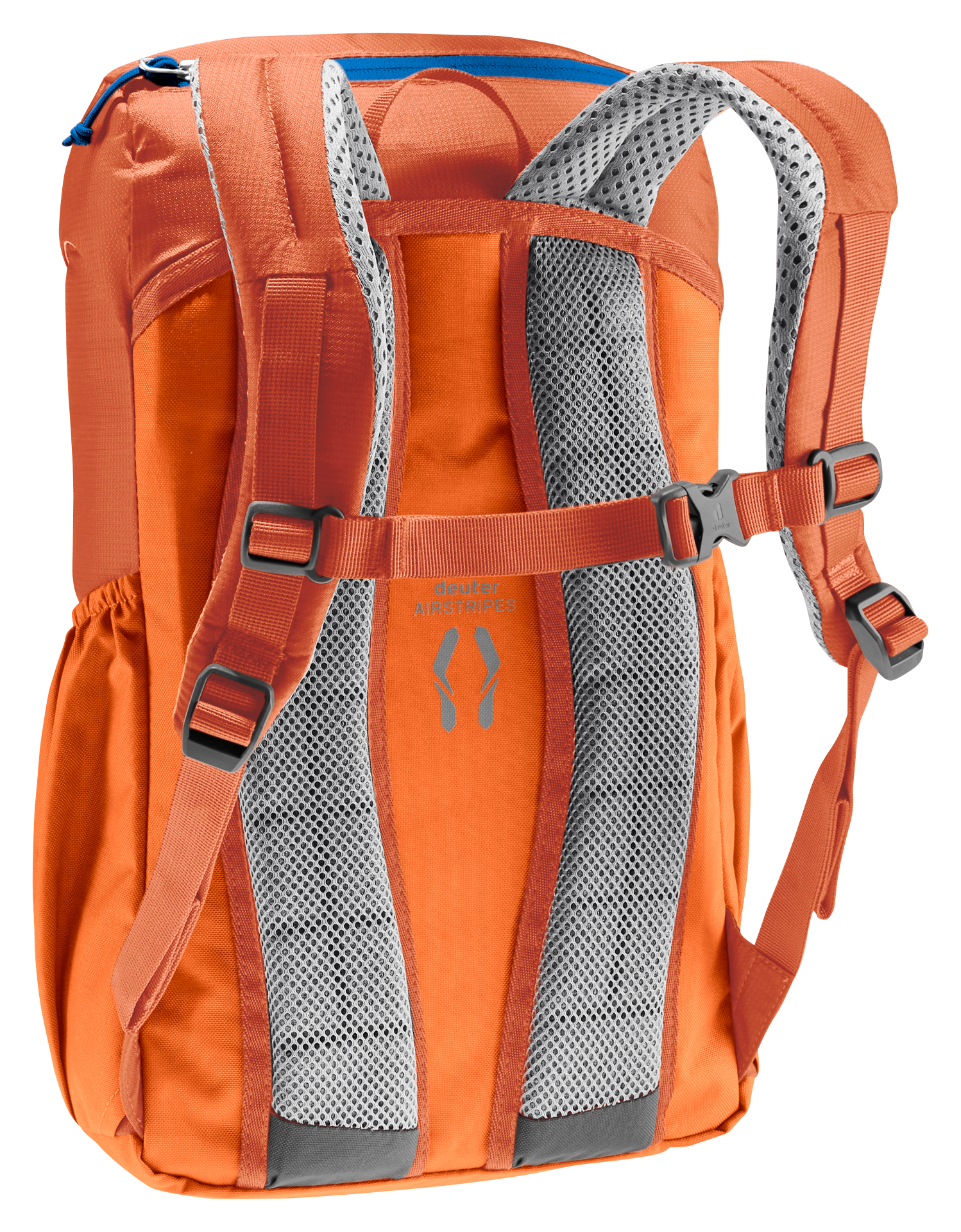 Junior, chestnut-mandarine