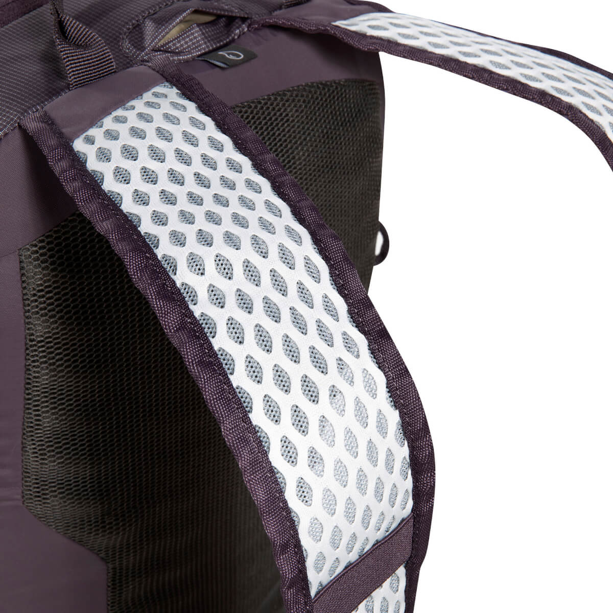 Active Pack 10, midnight plum