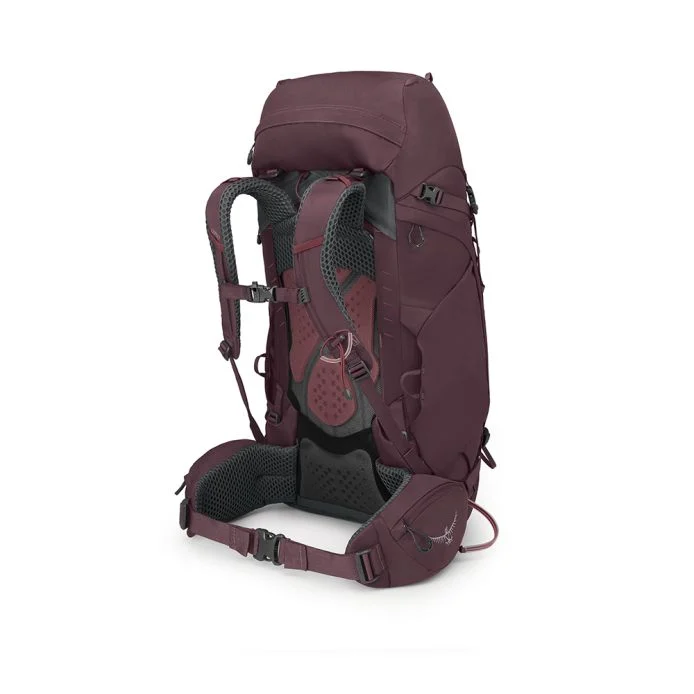 Kyte 48 Wm, elderberry purple