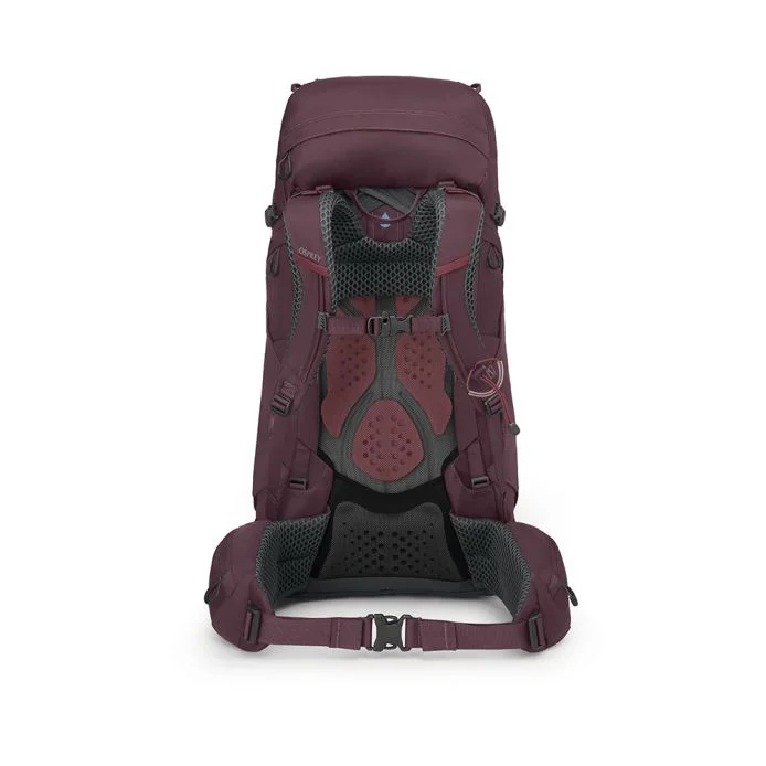 Kyte 48 Wm, elderberry purple