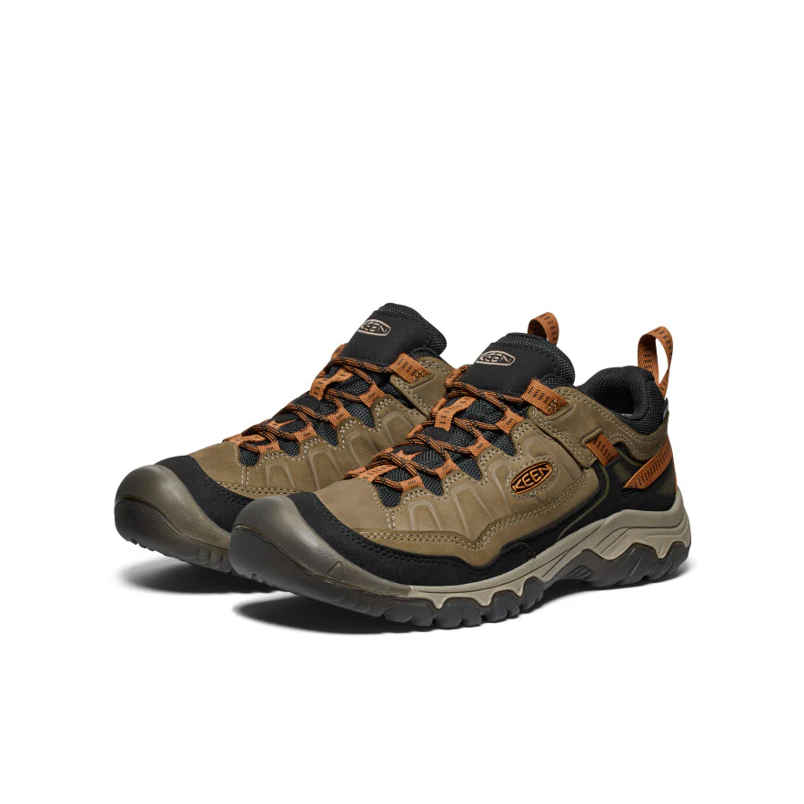 Targhee WP, sea turtle/roasted pecan