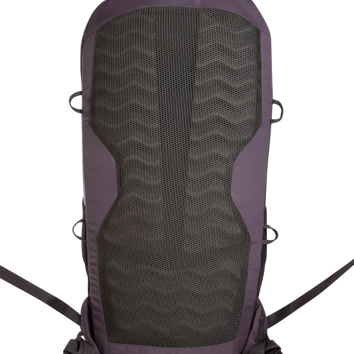 Active Pack 10, midnight plum
