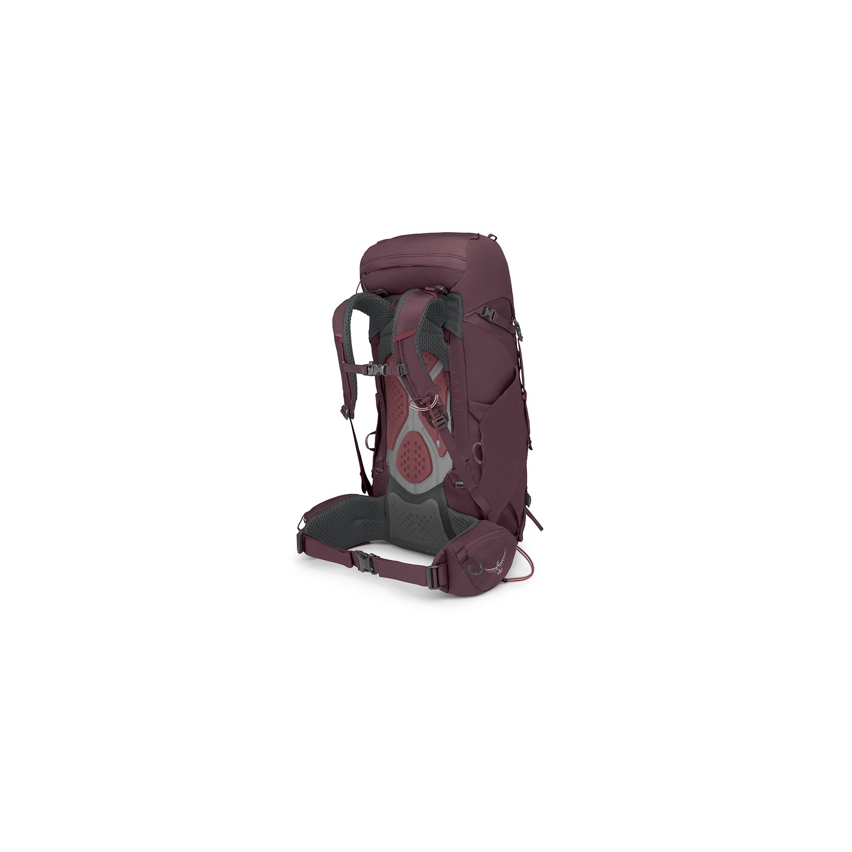 Kyte 38 Wm, elderberry purple