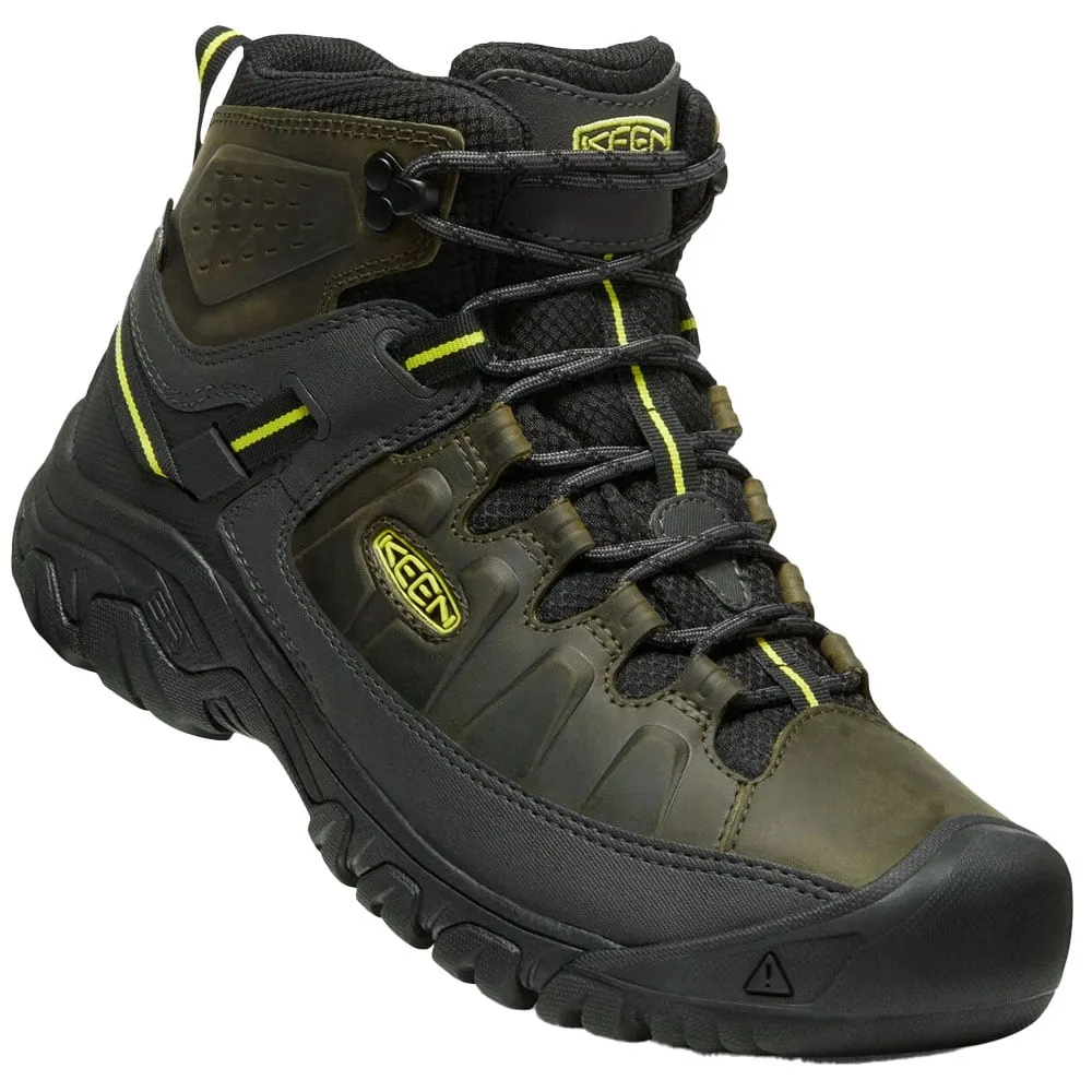 Targhee Mid WP, forest night/evening primrose